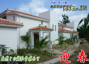 2012年　迎春