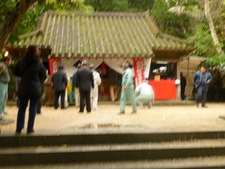 初詣