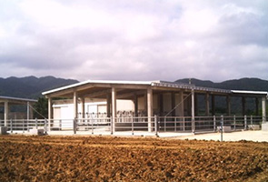 西表島南風本牛舎